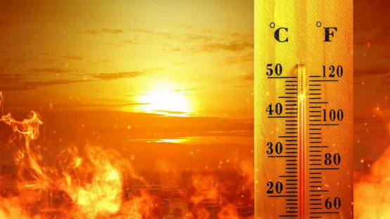 Cierran escuelas en las islas Canarias por una inusual ola de calor