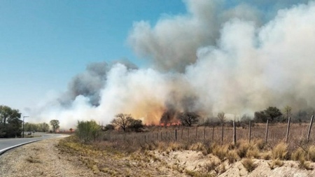 Cambio climático: un informe advierte sobre los incendios forestales y la emisión de gases